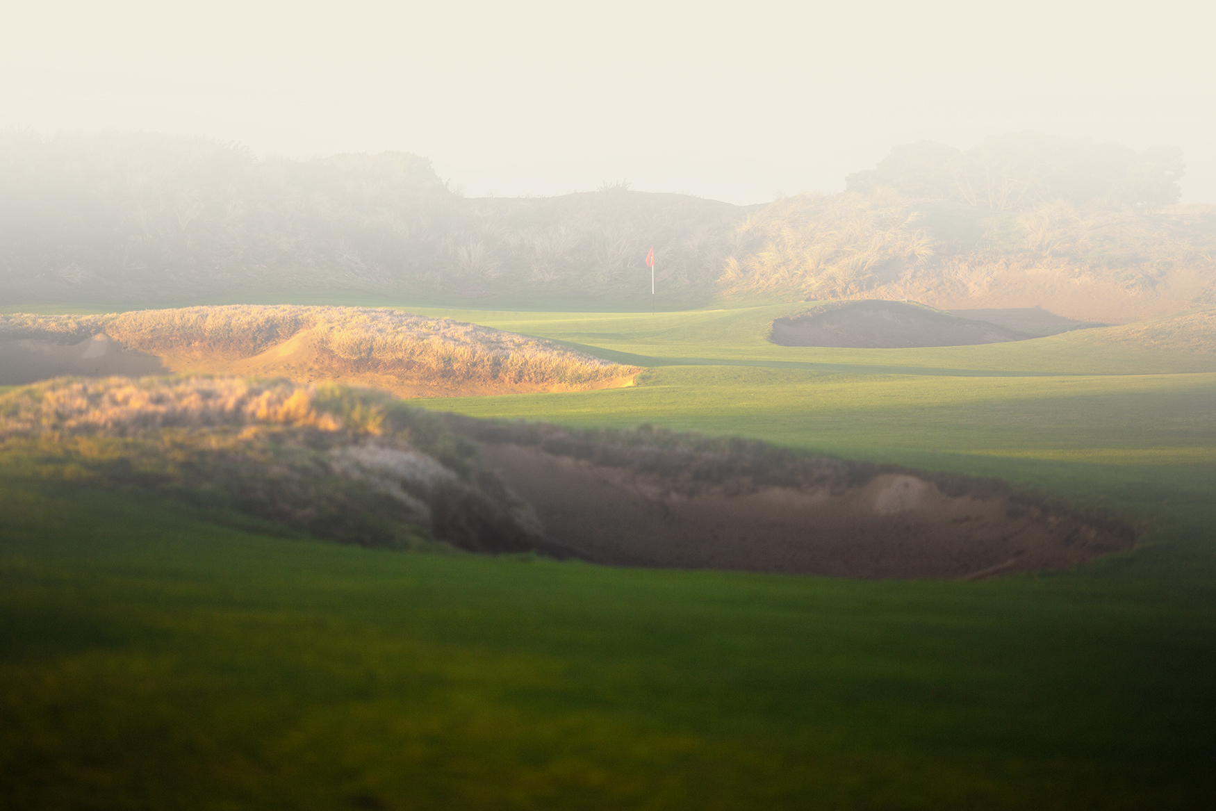 Vibrant green golf course landscape