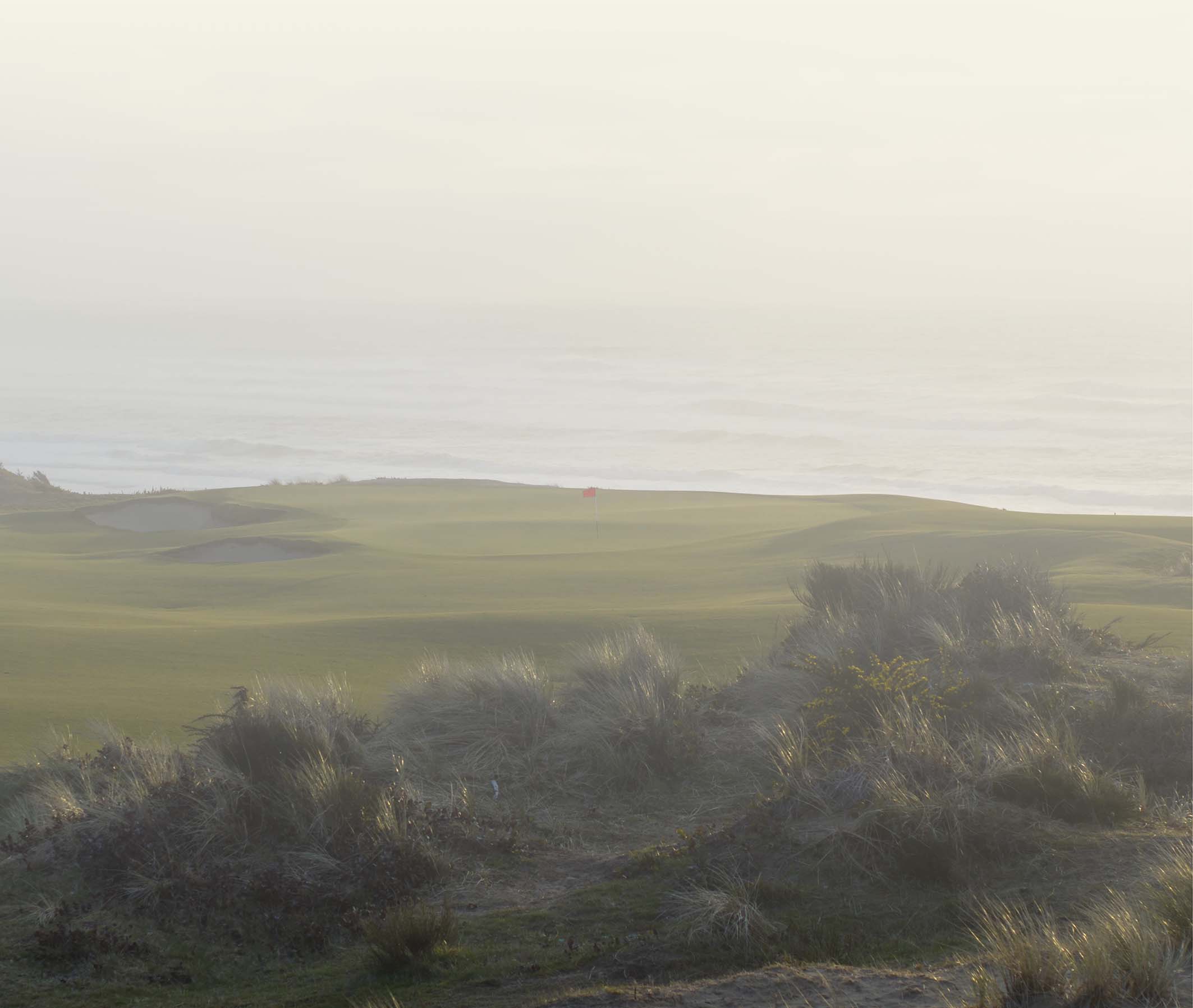 Rough next to a Bandon Dunes golf hole overlooking the ocean.