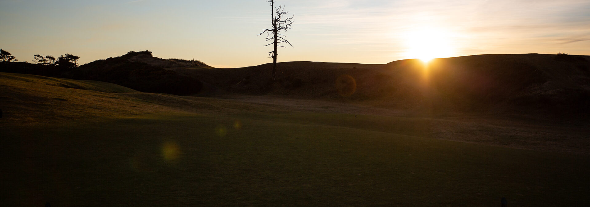 Ghost Tree at sunrise